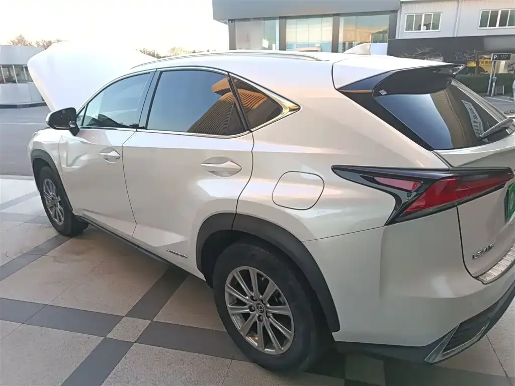 Lexus NX 2021 из CN, фото 3