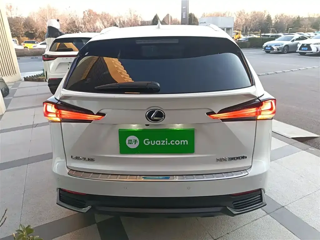 Lexus NX 2021 из CN, фото 9