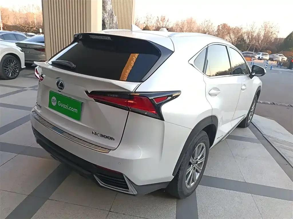 Lexus NX 2021 из CN, фото 10