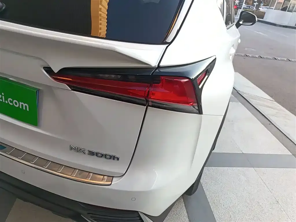 Lexus NX 2021 из CN, фото 4