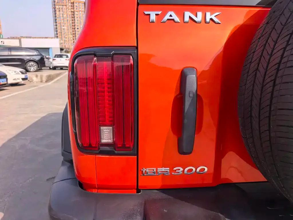 Tank 300 2022 из CN, фото 10