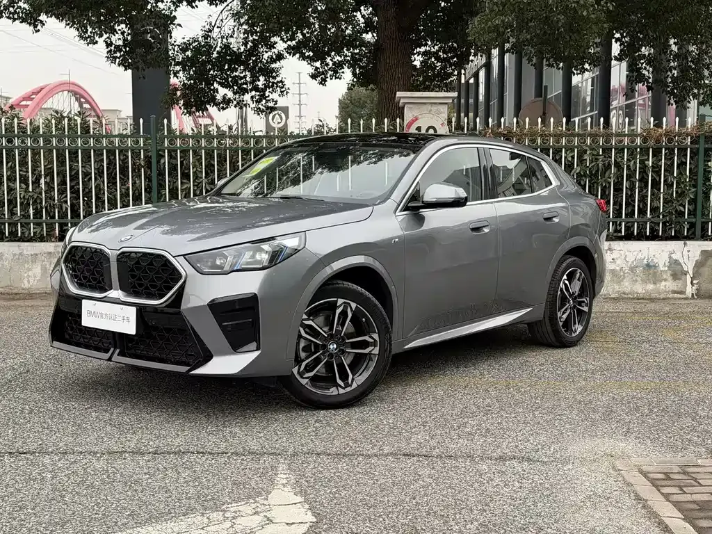 BMW X2 (Import) — фото 1