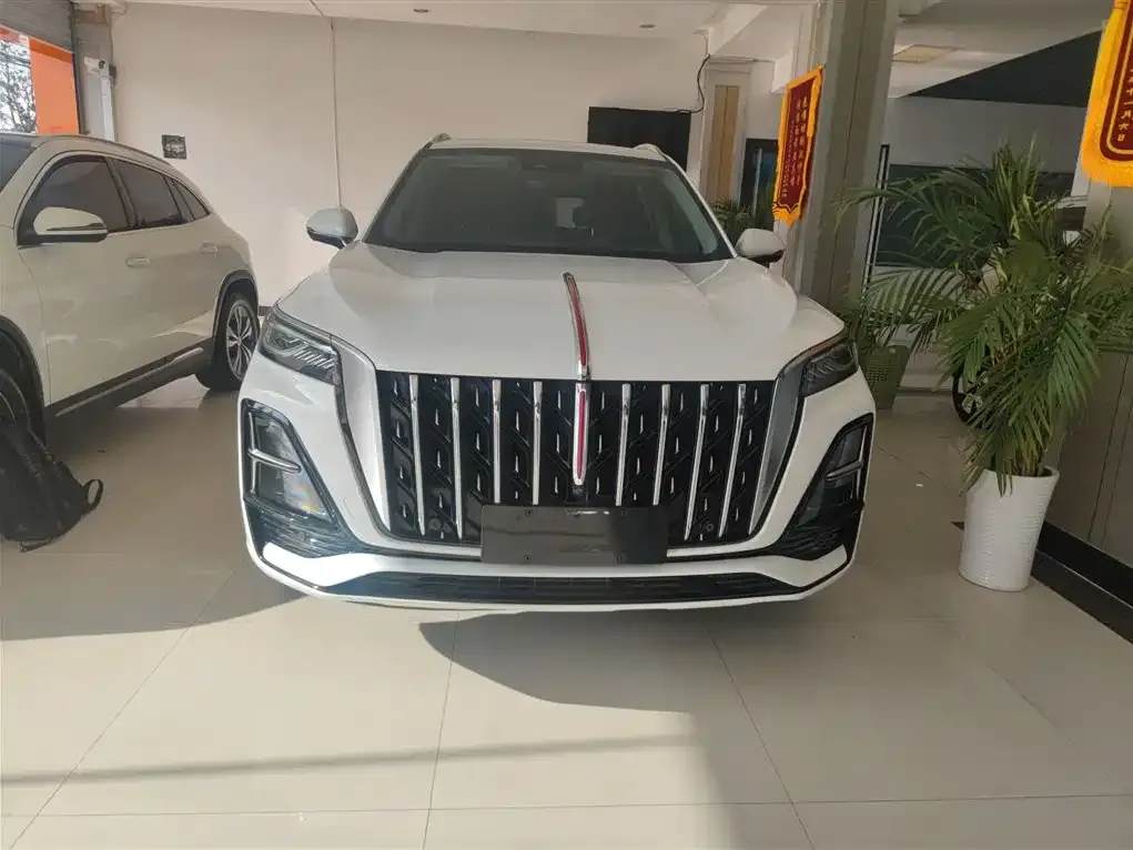 Hongqi HS5 2024 из CN, фото 4