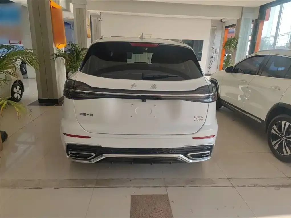 Hongqi HS5 2024 из CN, фото 7
