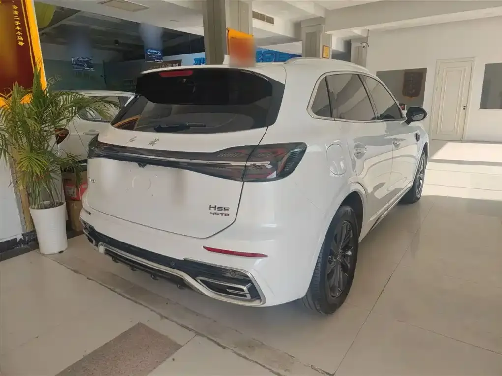 Hongqi HS5 2024 из CN, фото 5