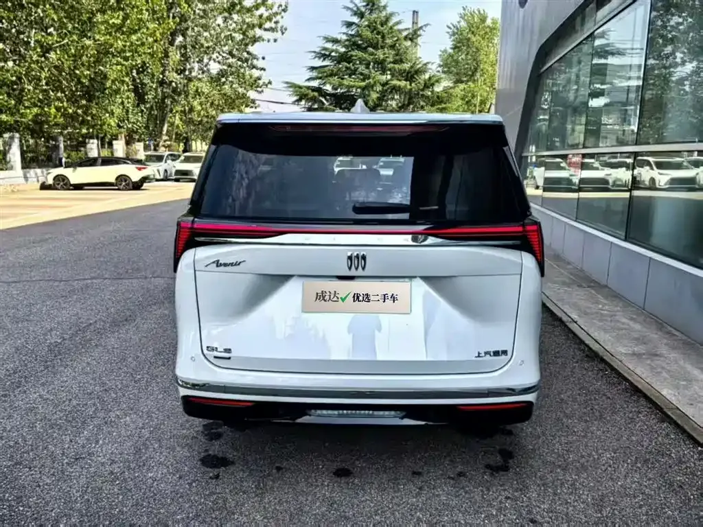 Buick GL8 Hybrid 2024 из CN, фото 8