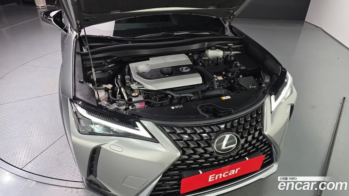 Lexus UX 2024 из KR, фото 7