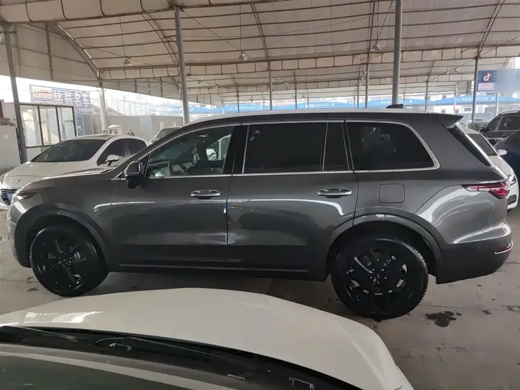 Li Auto ONE 2021 из CN, фото 10