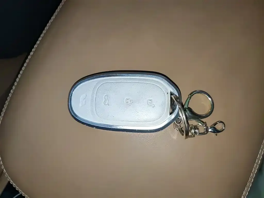 Li Auto ONE 2021 из CN, фото 5