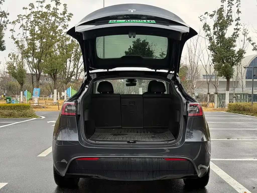 Tesla Model Y 2024 из CN, фото 5