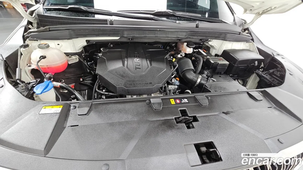Kia Carnival — фото 10