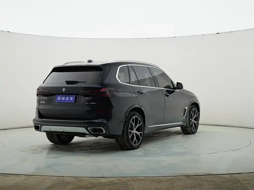 BMW X5 2024 из CN, фото 2