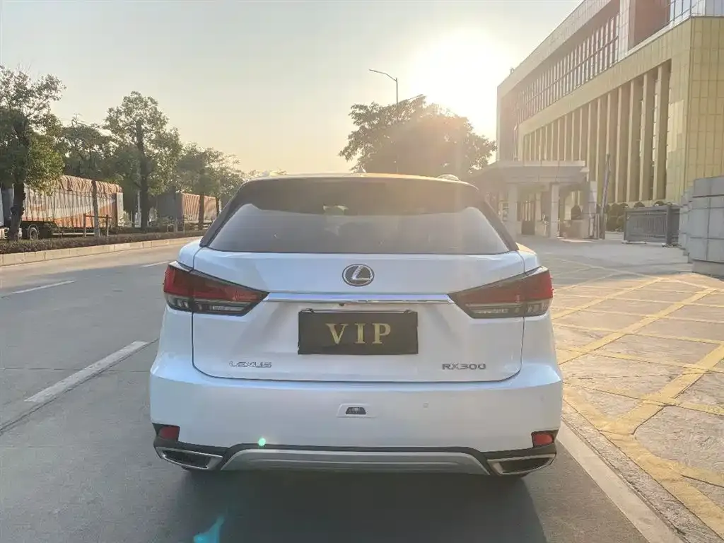 Lexus RX 2022 из CN, фото 5
