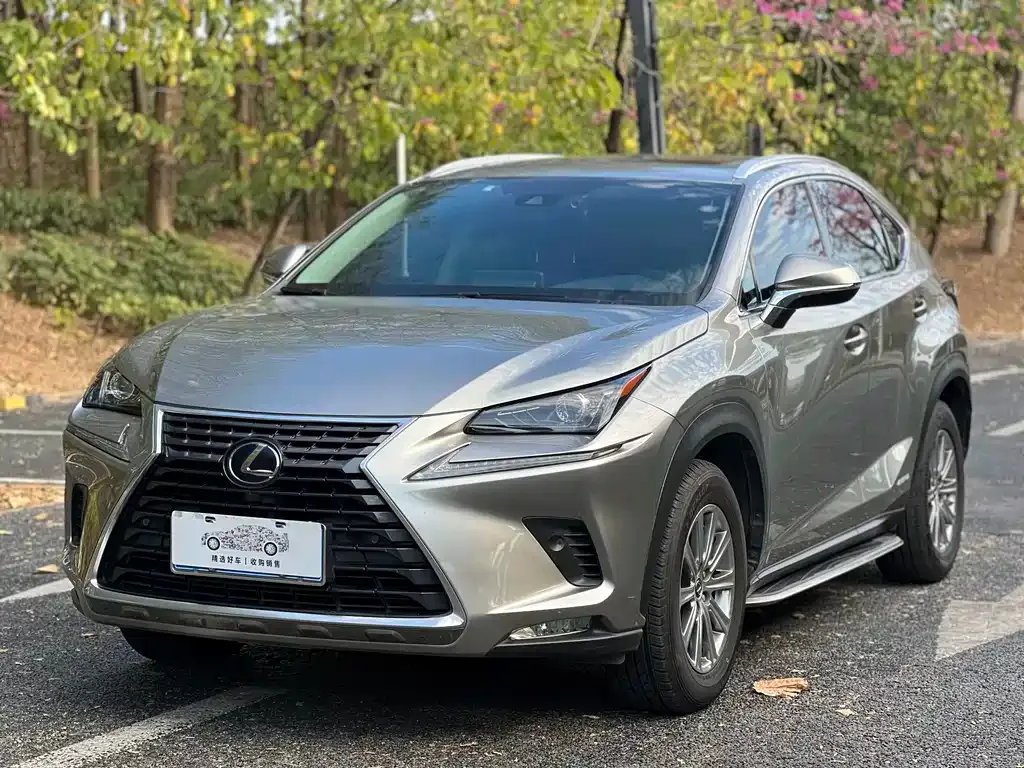 Lexus NX 2021 из CN, фото 1