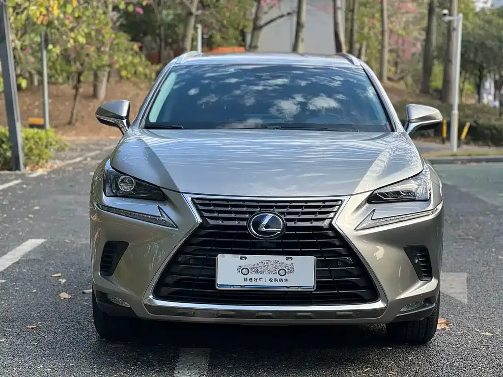 Lexus NX 2021 из CN, фото 3