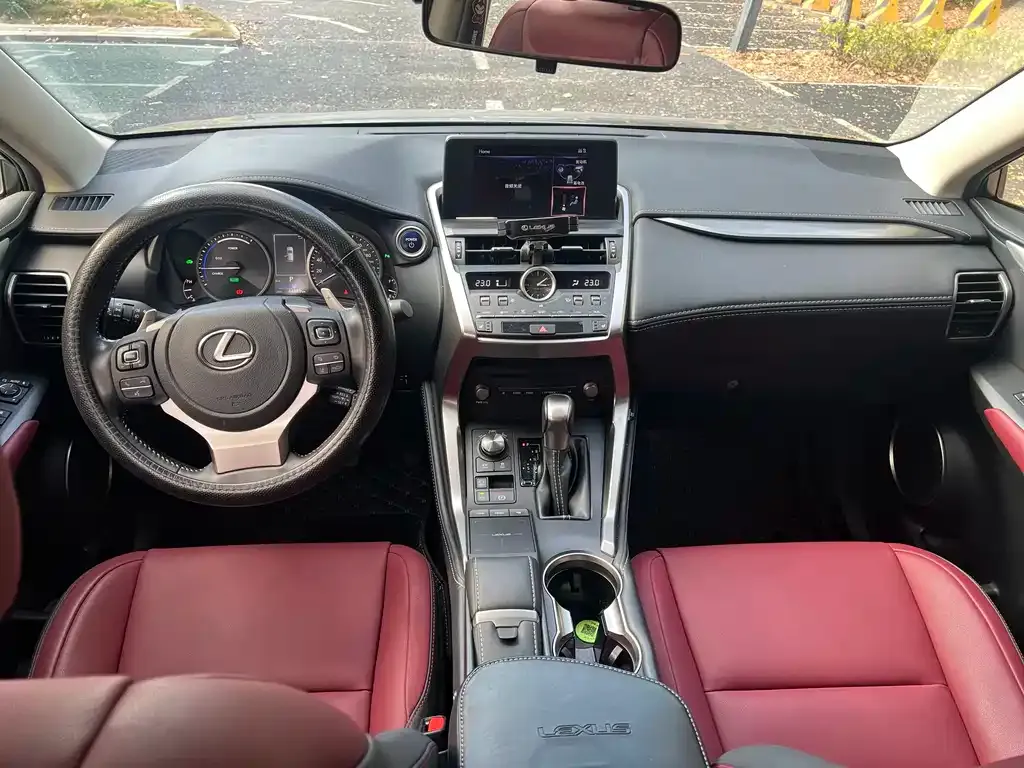 Lexus NX 2021 из CN, фото 7