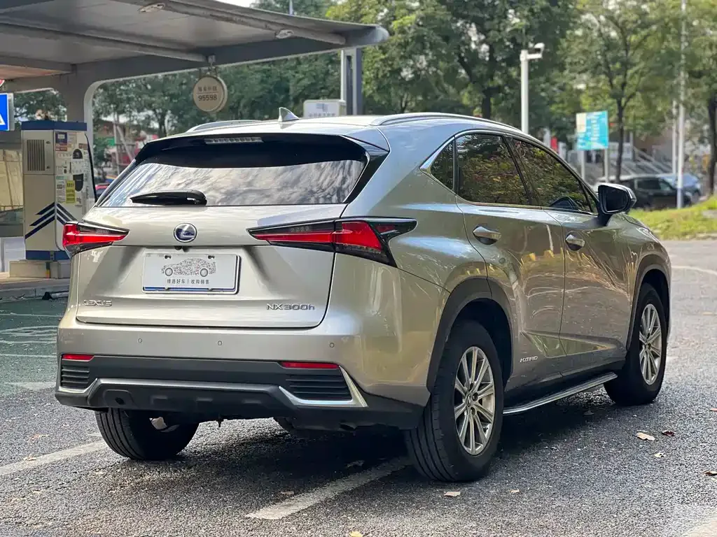 Lexus NX 2021 из CN, фото 5