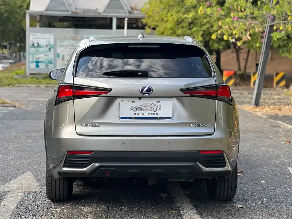 Lexus NX 2021 из CN, фото 4