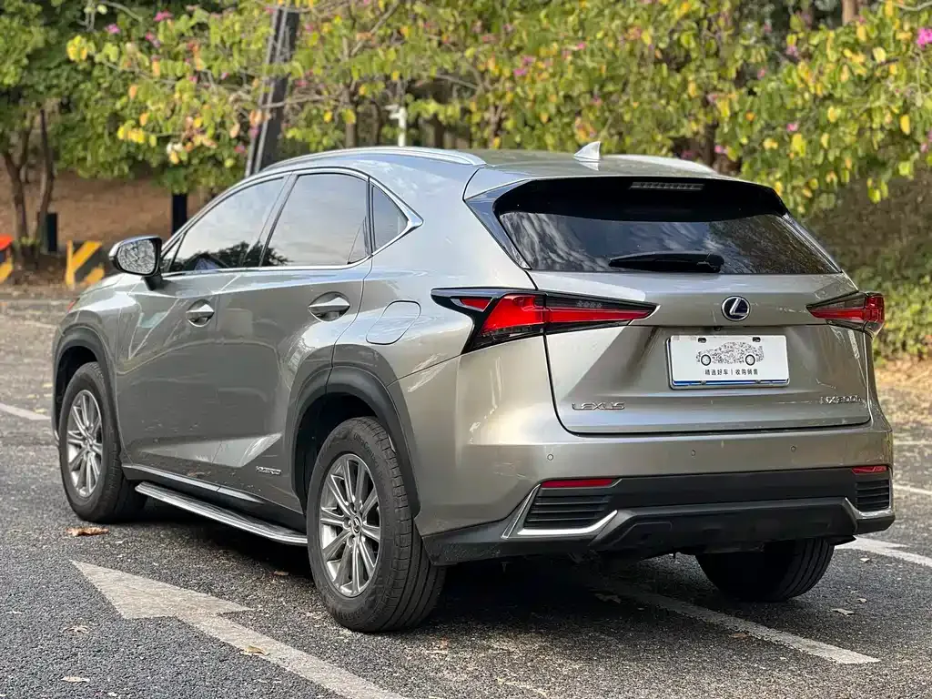 Lexus NX 2021 из CN, фото 9