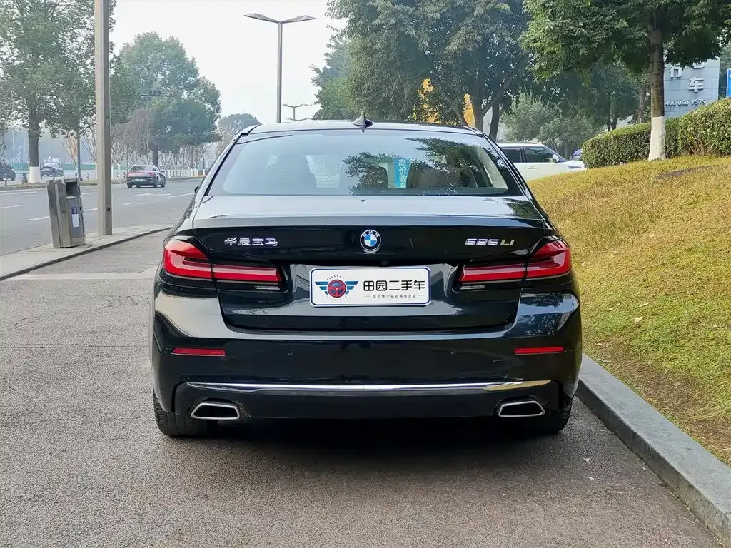 BMW 5 Series 2024 из CN, фото 4