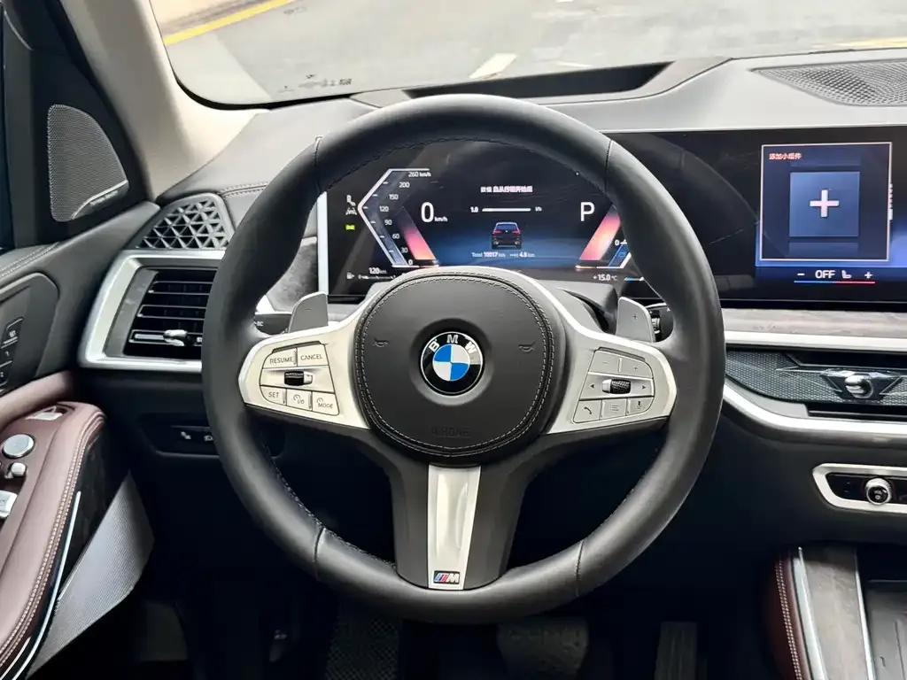 BMW X5 2025 из CN, фото 6