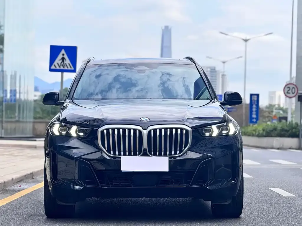 BMW X5 2025 из CN, фото 4
