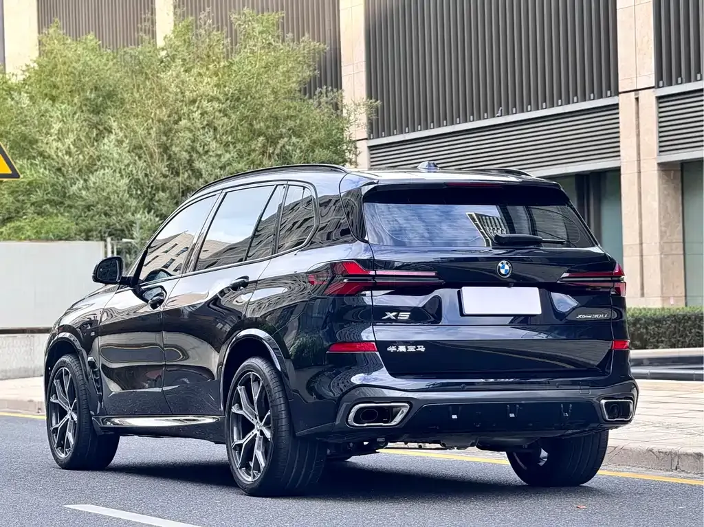 BMW X5 2025 из CN, фото 8