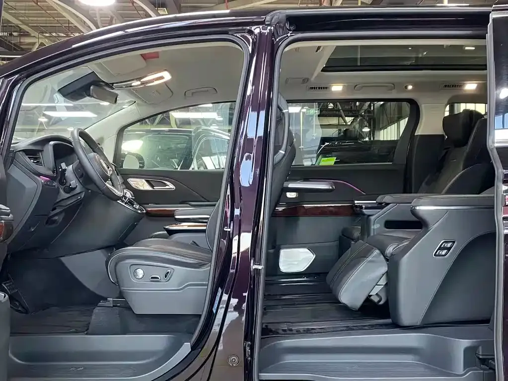 Hongqi HQ9 PHEV 2024 из CN, фото 5