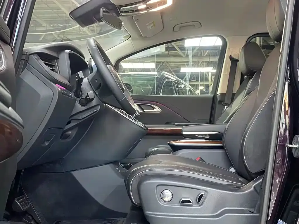 Hongqi HQ9 PHEV 2024 из CN, фото 2