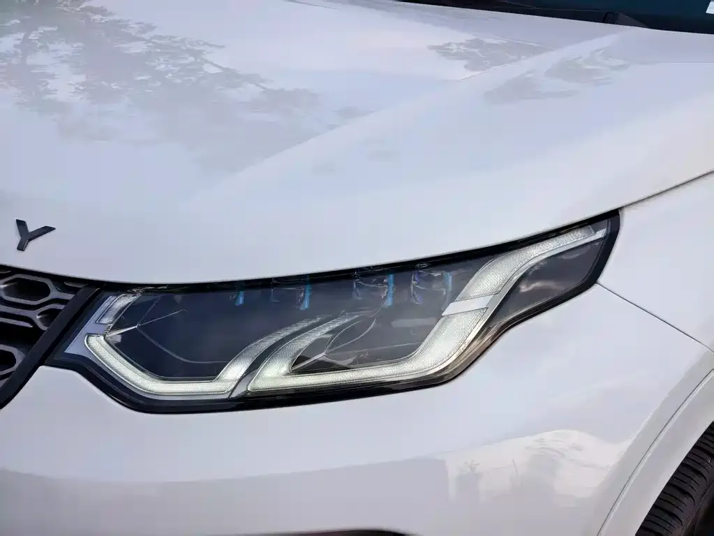 Land Rover Discovery Sport 2022 из CN, фото 4
