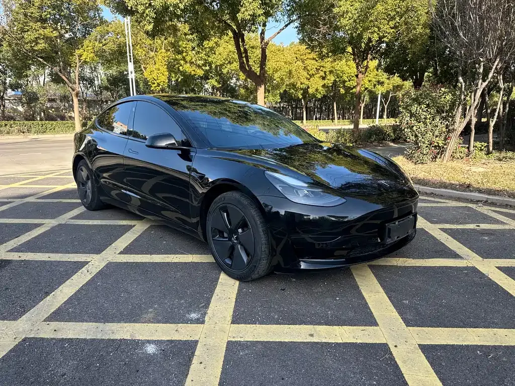 Tesla Model 3 — фото 3