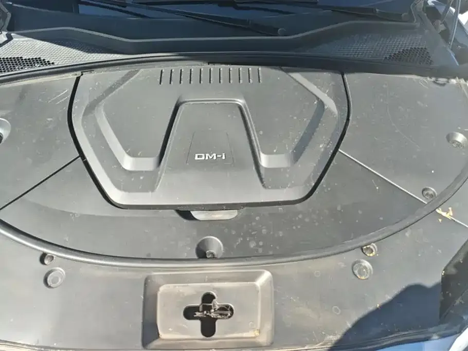 BYD PLUS New Energy 2024 из CN, фото 4