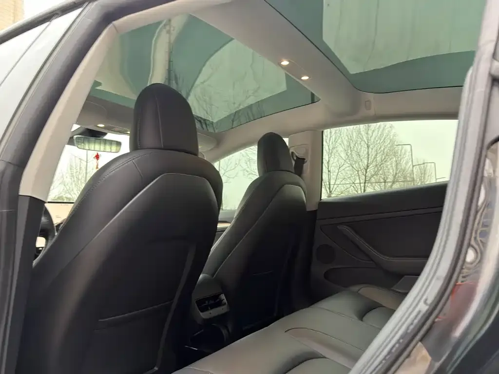 Tesla Model 3 2022 из CN, фото 4