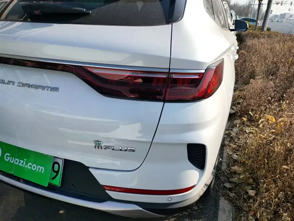 BYD PLUS New Energy — фото 8