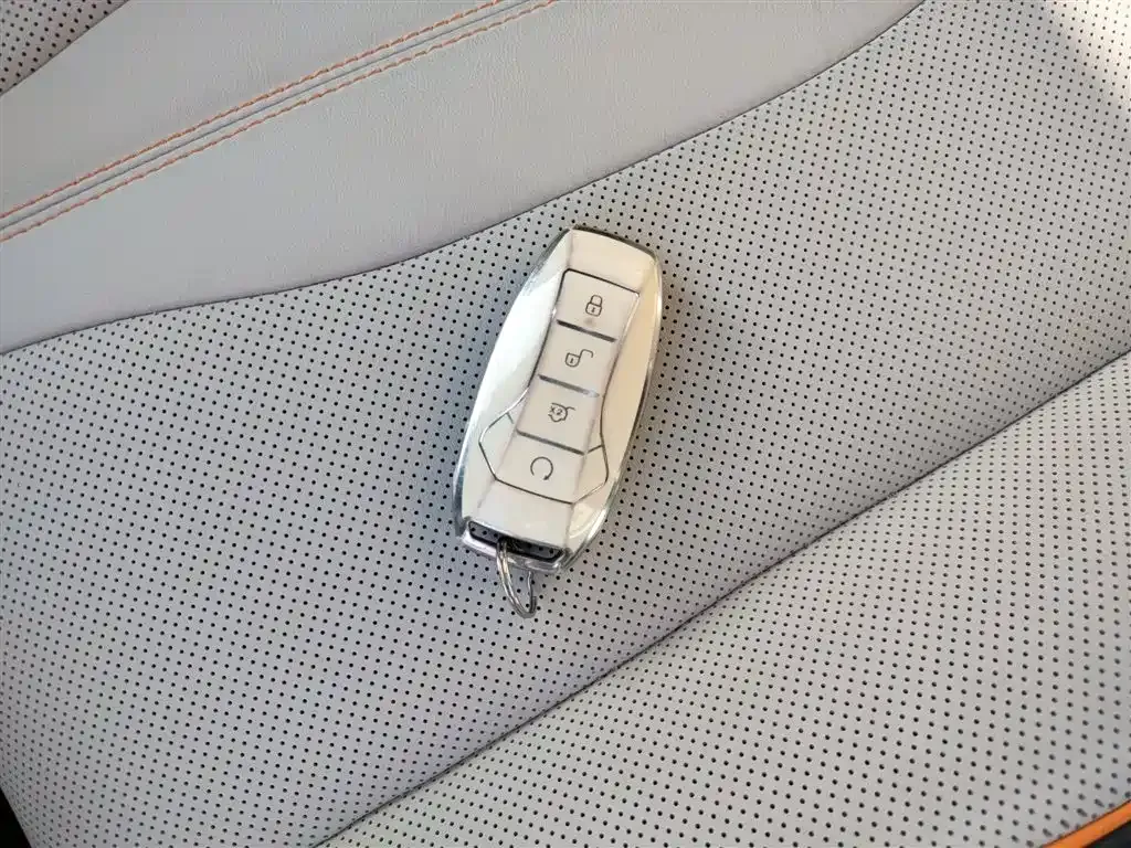 BYD PLUS New Energy — фото 9