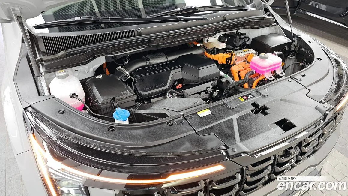 Kia Carnival — фото 10