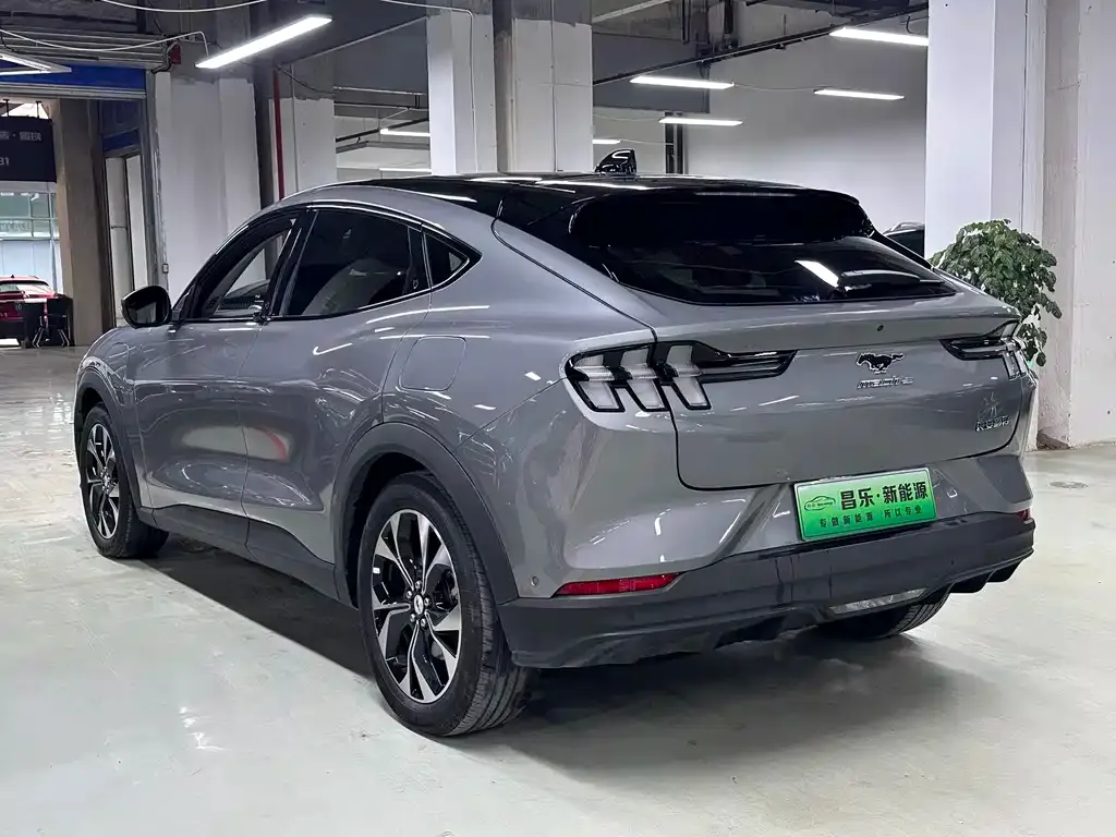 Ford Mustang Mach-E 2022 из CN, фото 4