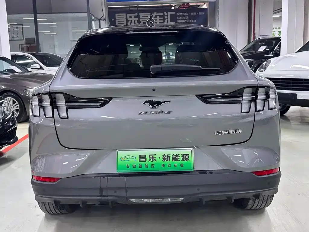 Ford Mustang Mach-E 2022 из CN, фото 3