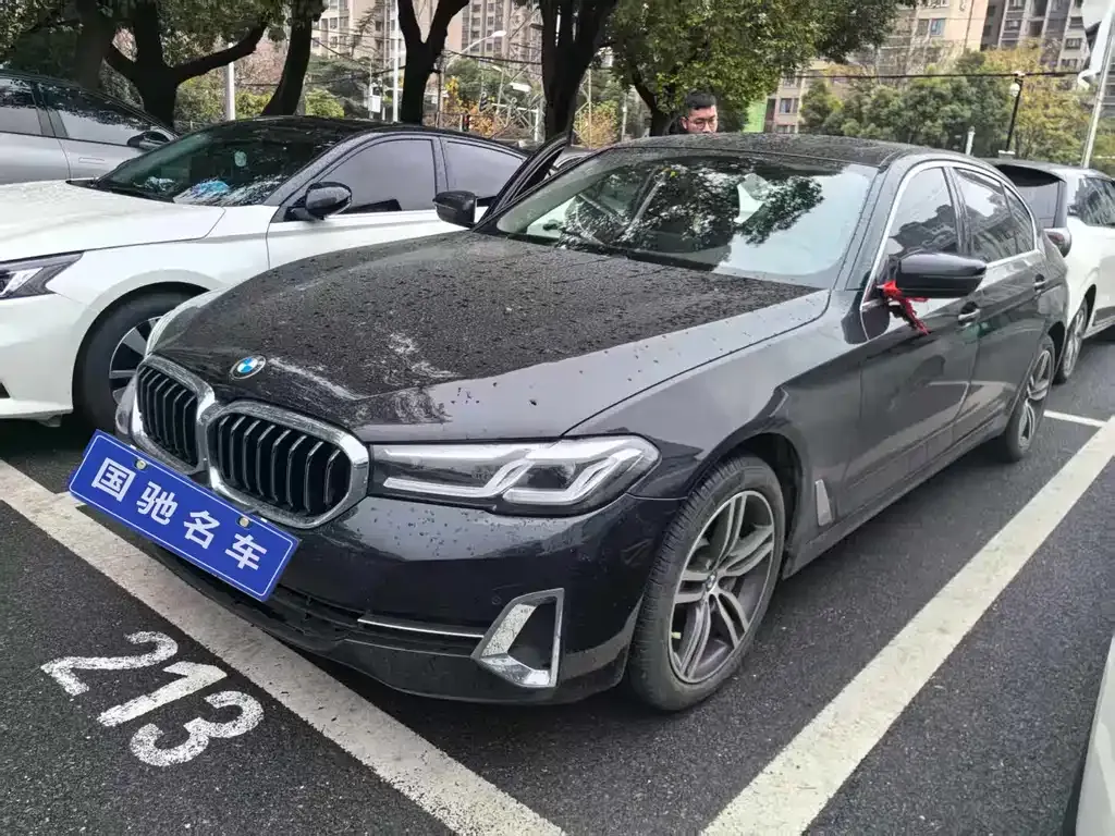 BMW 5 Series 2021 из CN, фото 1