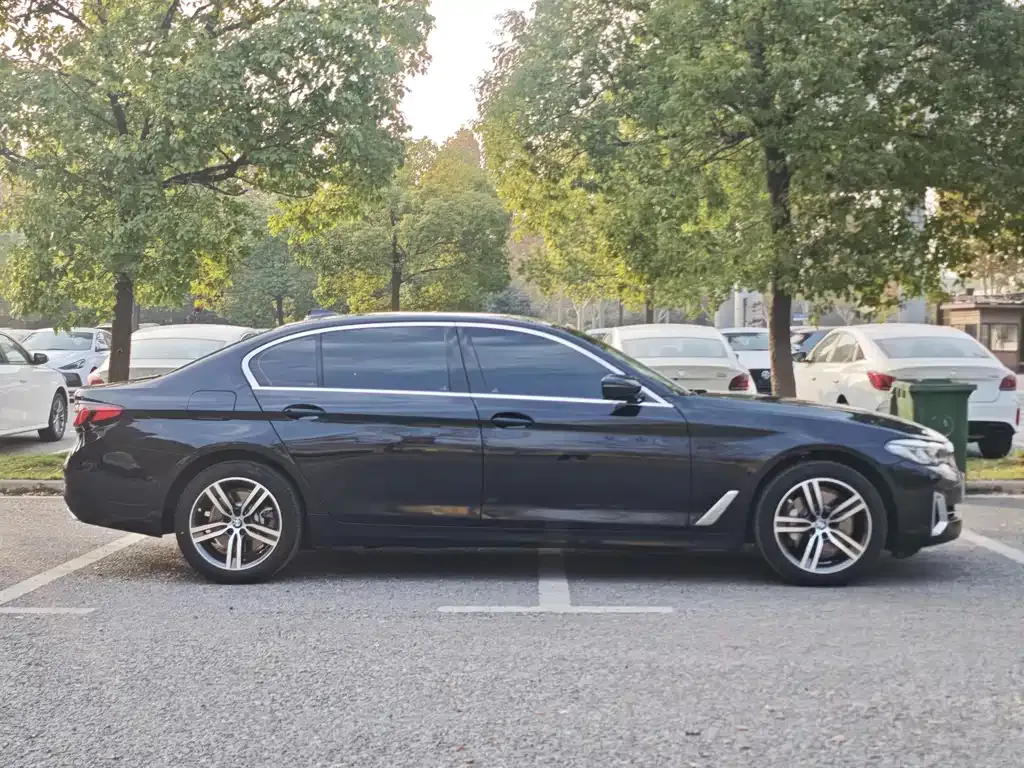 BMW 5 Series 2021 из CN, фото 7
