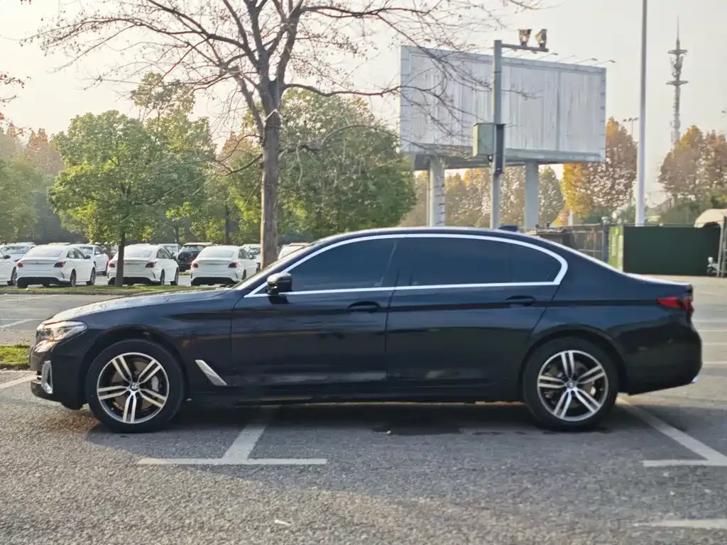 BMW 5 Series 2021 из CN, фото 4