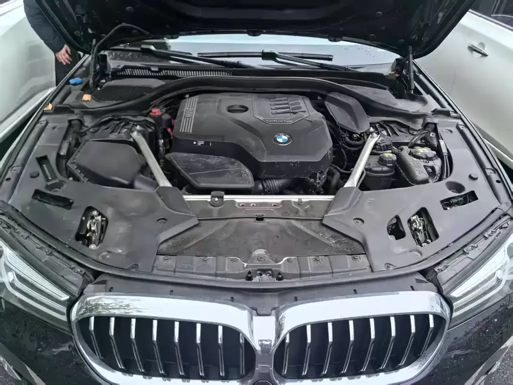 BMW 5 Series 2021 из CN, фото 3