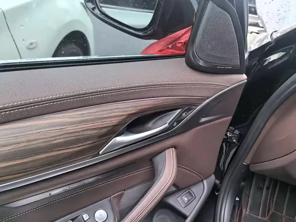 BMW 5 Series 2021 из CN, фото 9