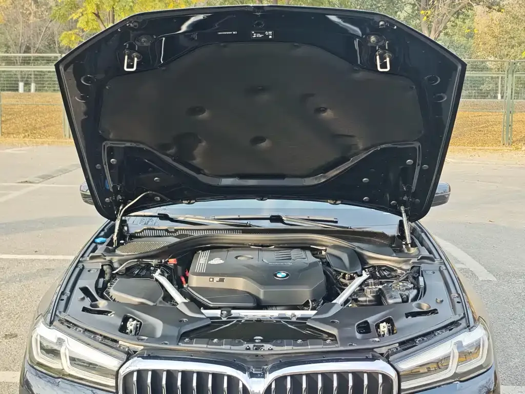 BMW 5 Series 2021 из CN, фото 5