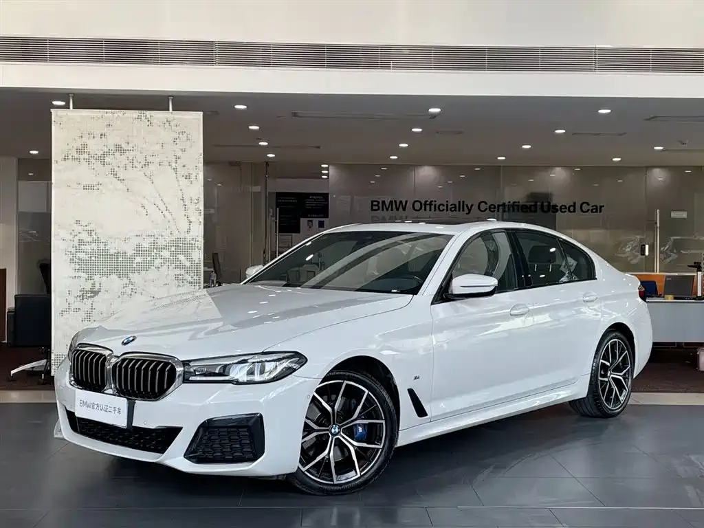 BMW 5 Series (Import) 2023 из CN, фото 1