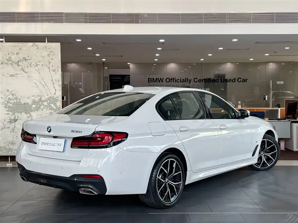 BMW 5 Series (Import) 2023 из CN, фото 7
