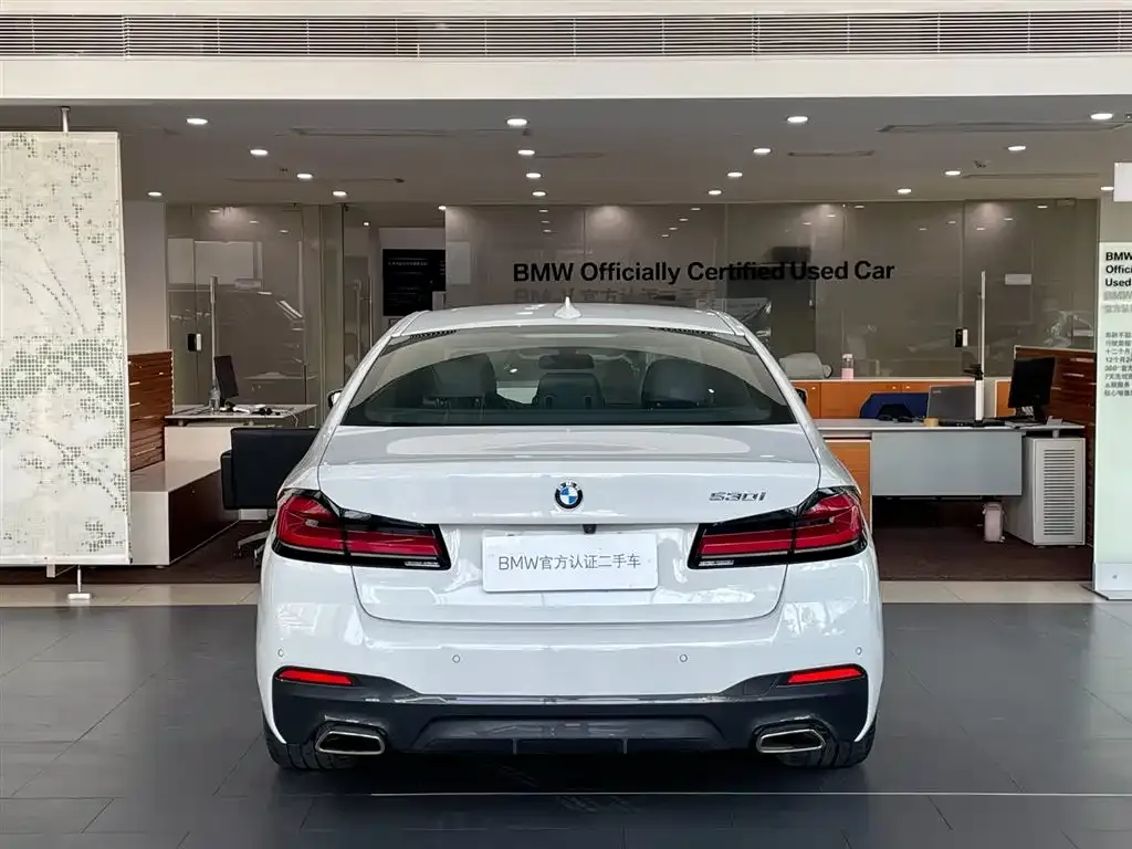 BMW 5 Series (Import) 2023 из CN, фото 8
