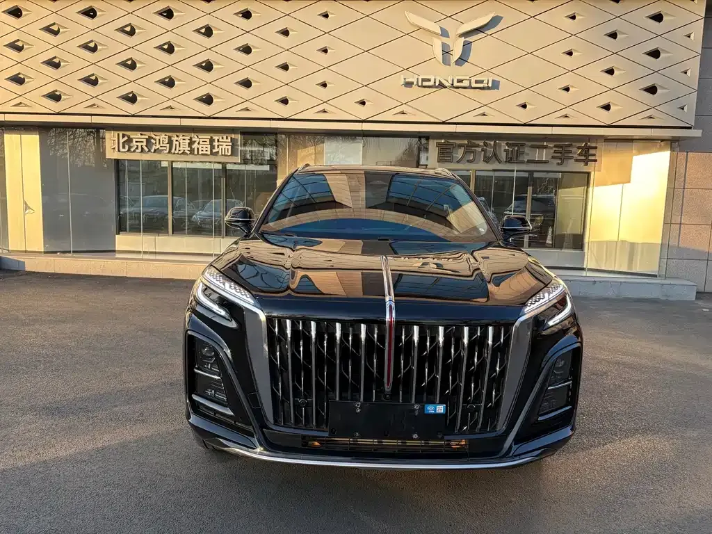Hongqi HS3 PHEV 2025 из CN, фото 9