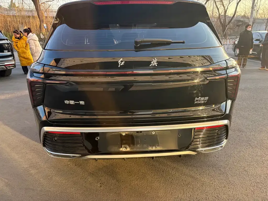 Hongqi HS3 PHEV 2025 из CN, фото 10