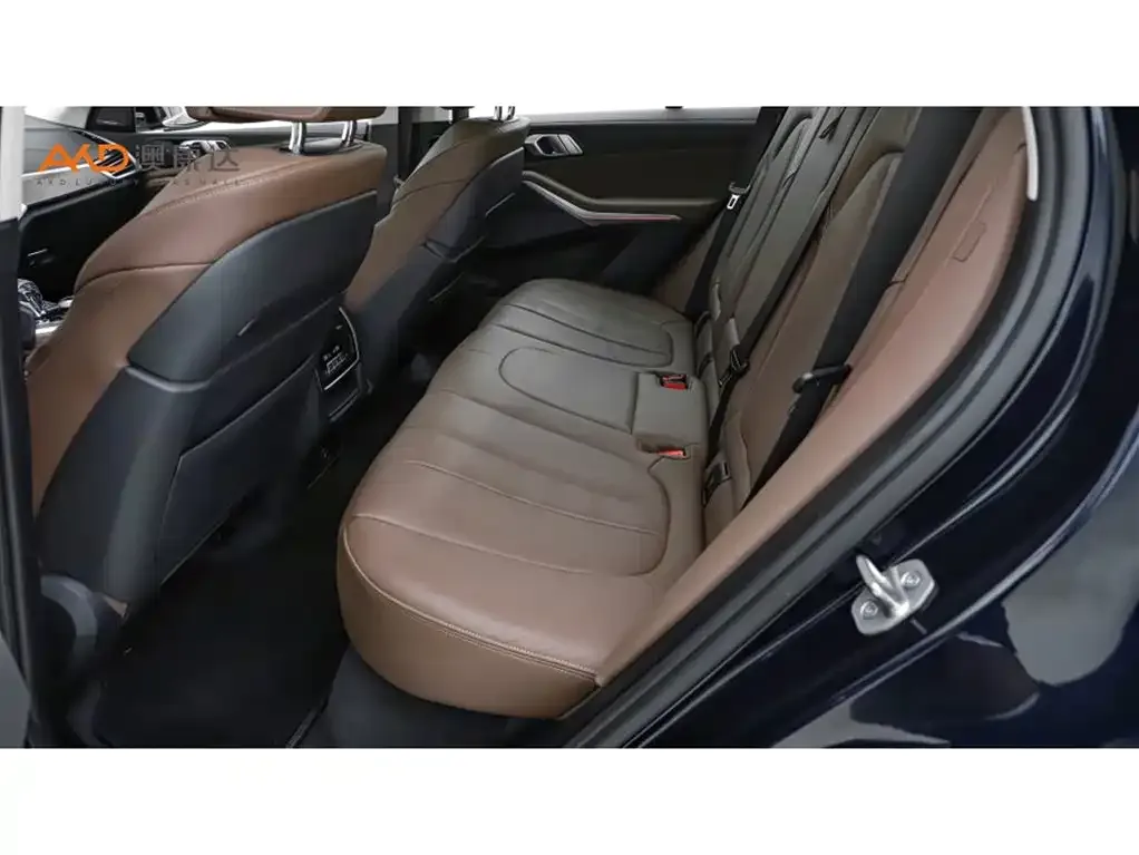 BMW X5 (Import) 2021 из CN, фото 7